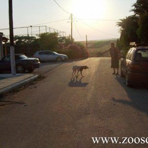 ZografouXalkidiki (5) copy